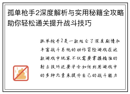 孤单枪手2深度解析与实用秘籍全攻略助你轻松通关提升战斗技巧