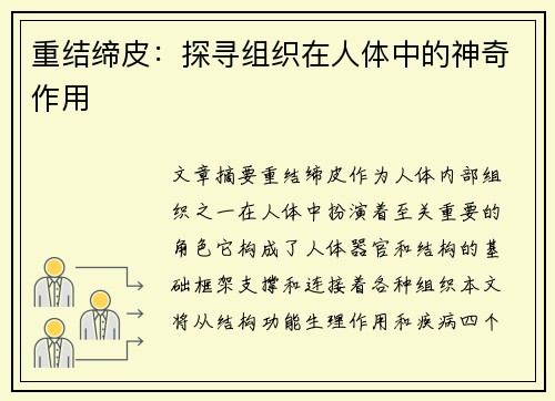 重结缔皮：探寻组织在人体中的神奇作用